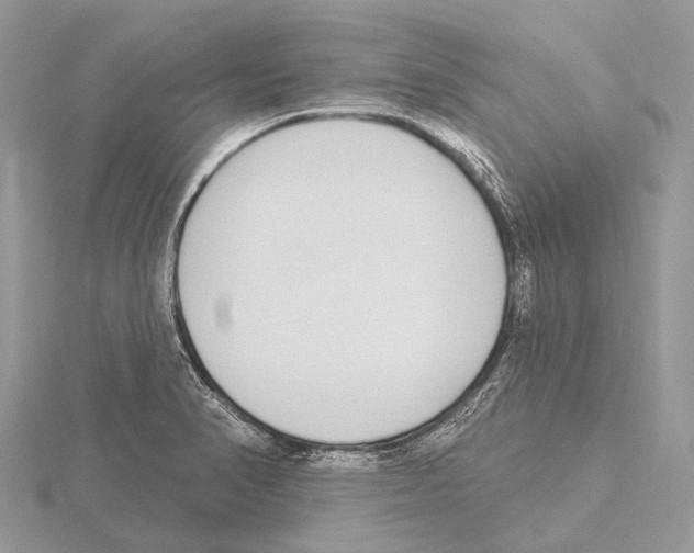 X0000115711374200912101228