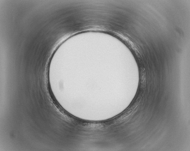 X0000115711375200912101228