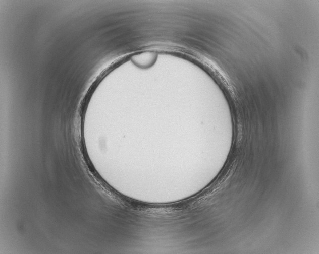 X0000115711376200912101228