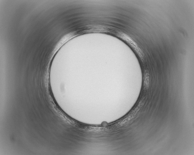 X0000115711378200912101228