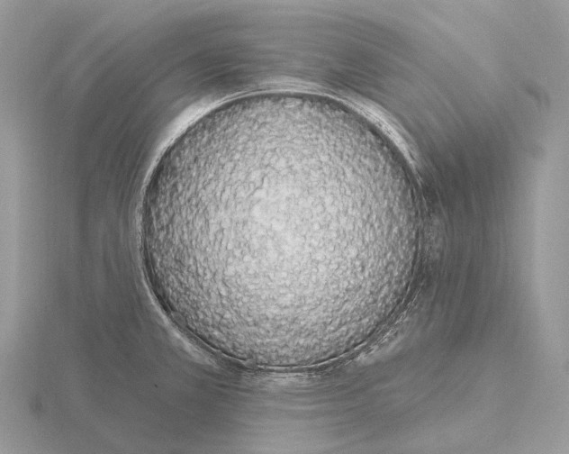 X0000115711381200912101228