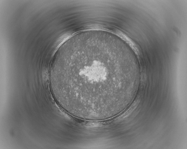 X0000115711385200912101227