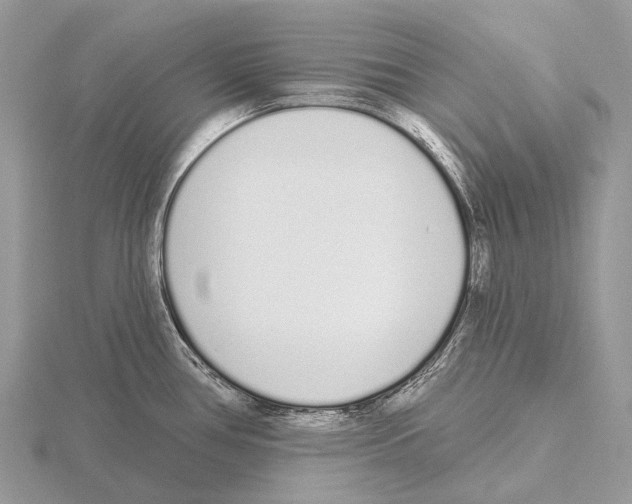 X0000115711386200912101227