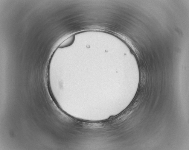 X0000115711387200912101227