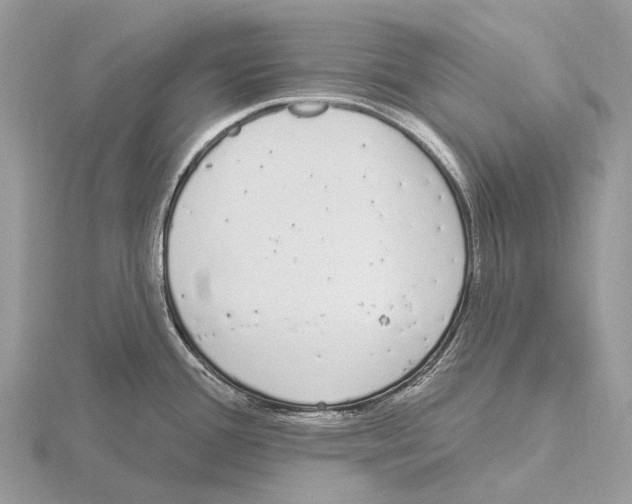 X0000115711388200912101227