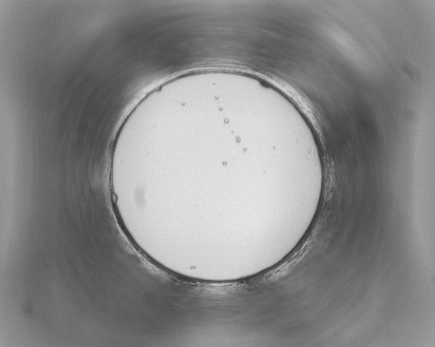 X0000115711390200912101227