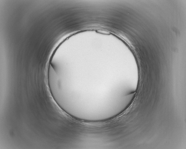 X0000115711392200912101227