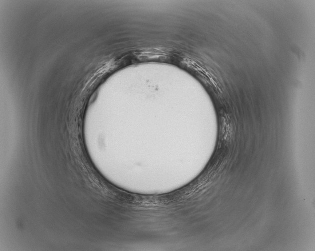 X0000115711393200912101227