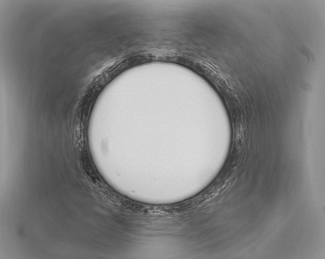 X0000115711398200912101227