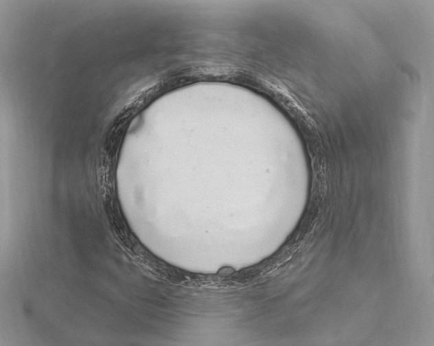 X0000115711399200912101227