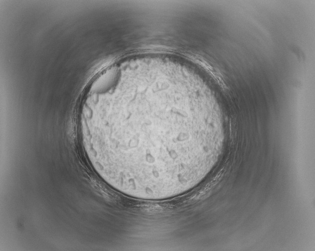 X0000115711405200912101227