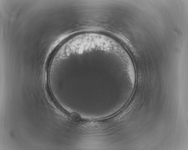 X0000115711414200912101227