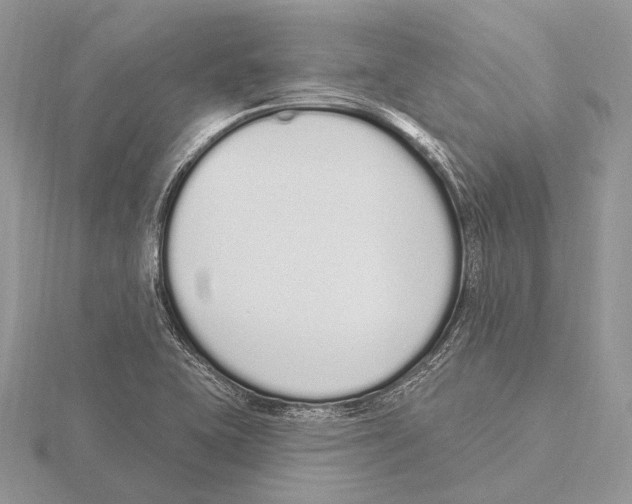 X0000115711415200912101227