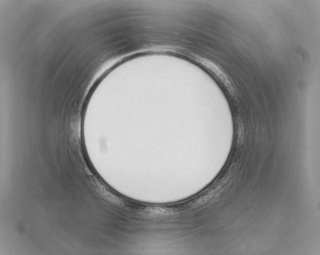 X0000115711420200912101227