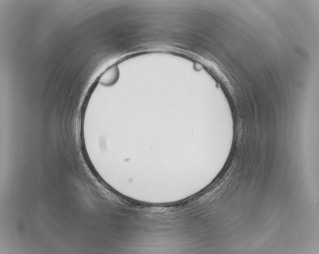 X0000115711424200912101227