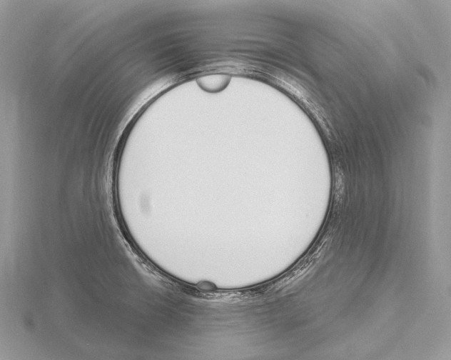 X0000115711426200912101227