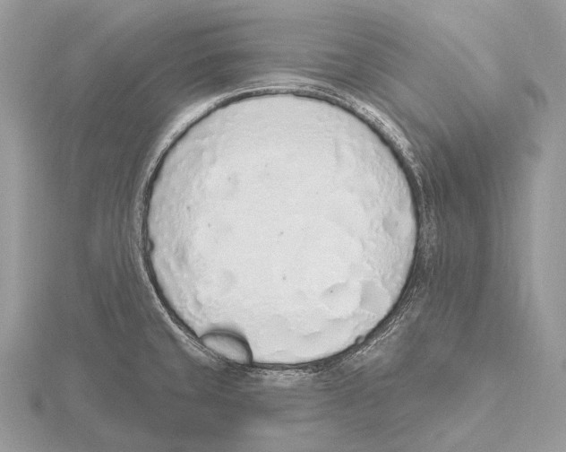 X0000115711429200912101227