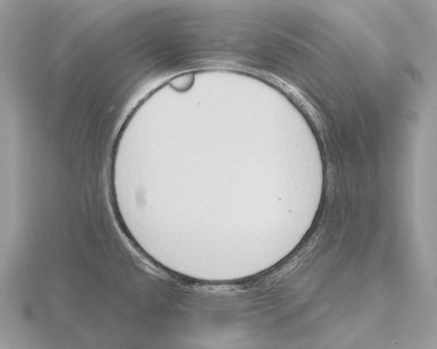 X0000115711432200912101227