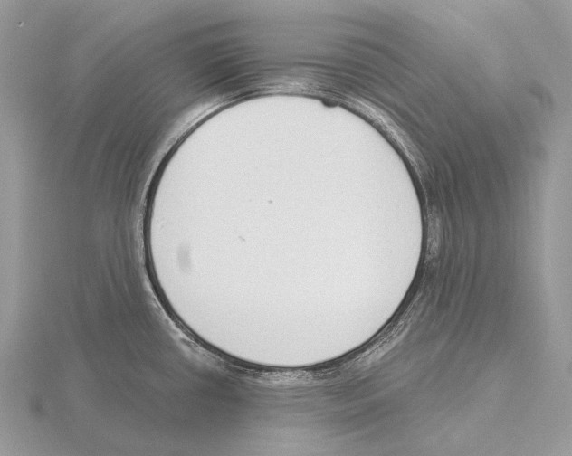 X0000115711434200912101227