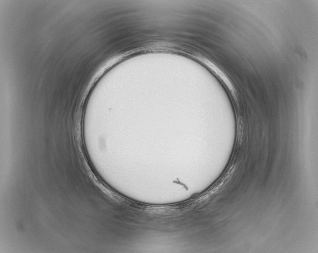 X0000115711437200912101227