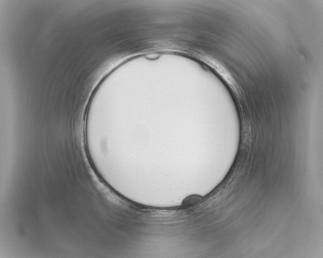 X0000115711439200912101227