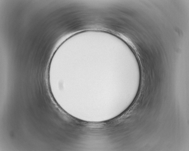 X0000115711440200912101227