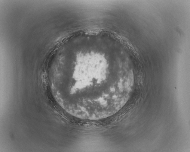 X0000115711445200912101227