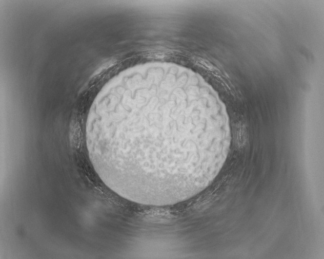 X0000115711446200912101227