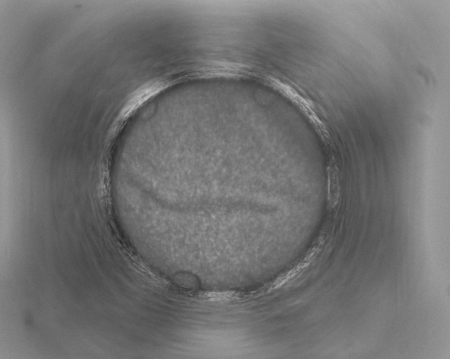 X0000115711453200912101226