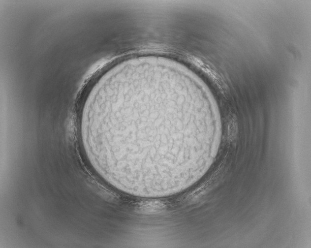 X0000115711454200912101226