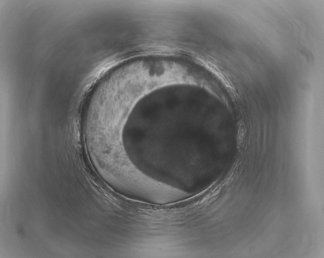 X0000115711455200912101226