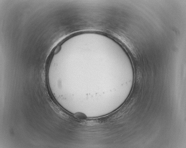 X0000115711460200912101226