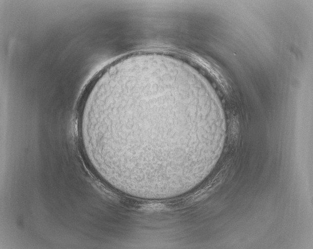 X0000115711462200912101226