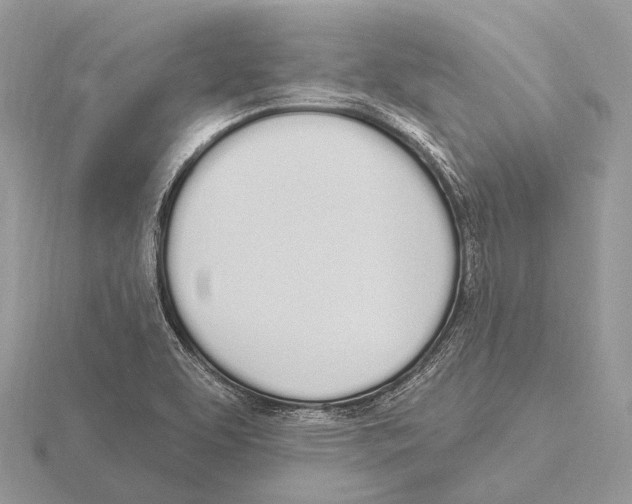 X0000115711463200912101226