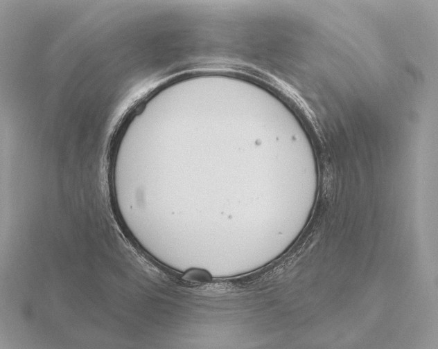 X0000115711464200912101226