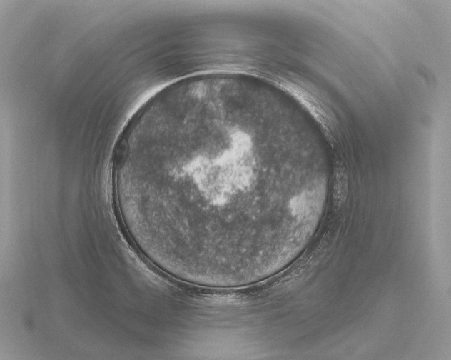 X0000115711468200912101226