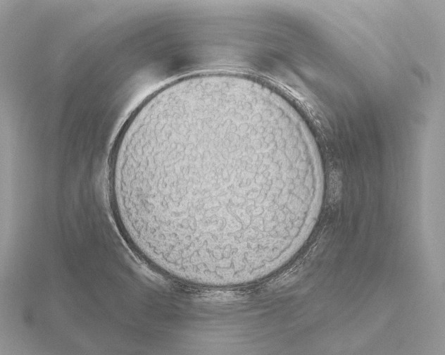 X0000115711470200912101226