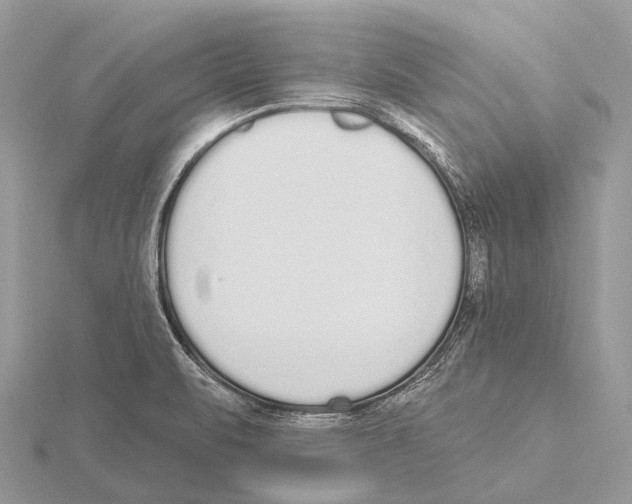 X0000115711471200912101226