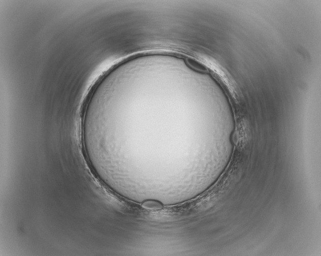 X0000115711472200912101226