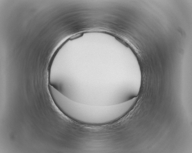 X0000115711476200912101226