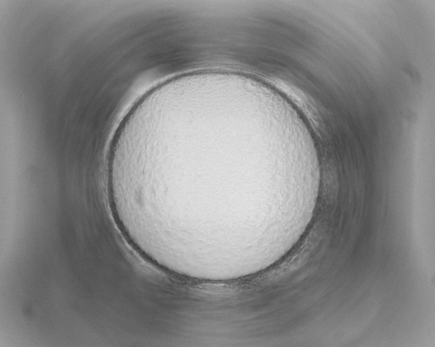 X0000115711478200912101226