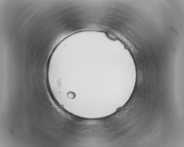 X0000115711479200912101226