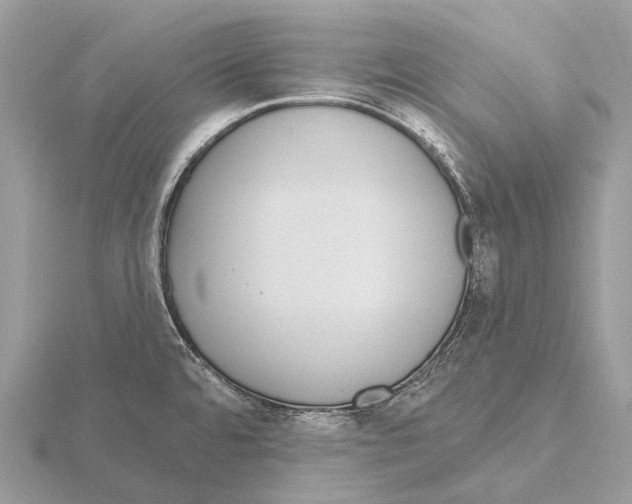 X0000115711480200912101226