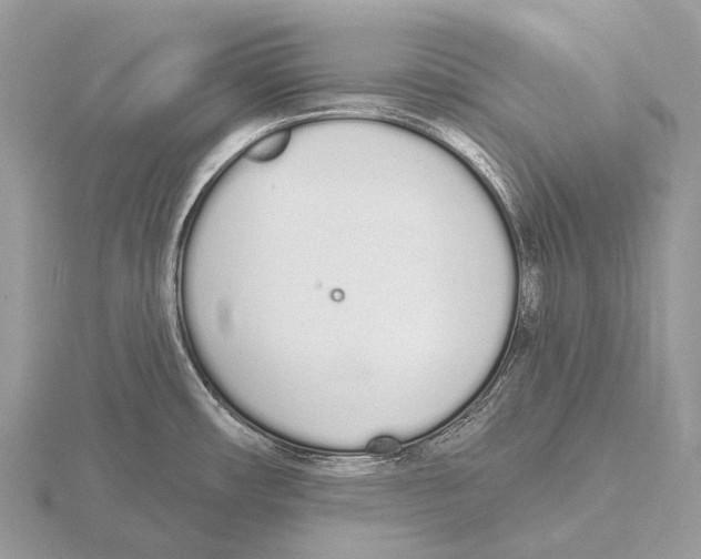 X0000115711482200912101226