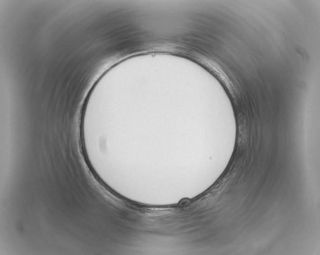 X0000115711483200912101226