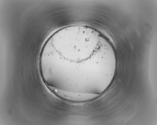 X0000115711484200912101226