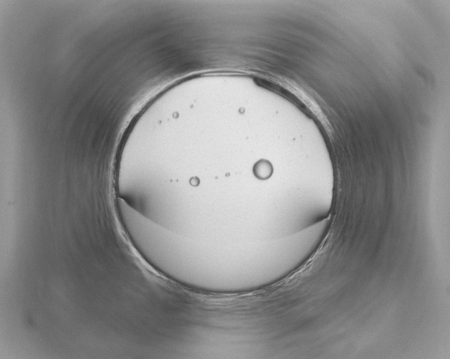 X0000115711485200912101226