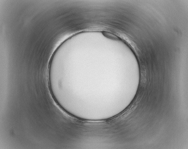 X0000115711487200912101226