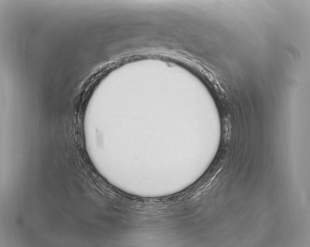 X0000115711494200912101225