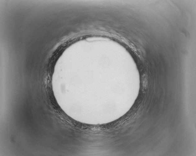 X0000115711495200912101225